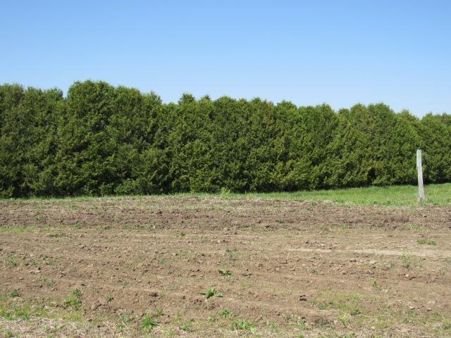 MLS #20262144